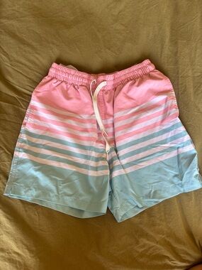 chubbies Pink and Light Blue Striped Men's Shorts